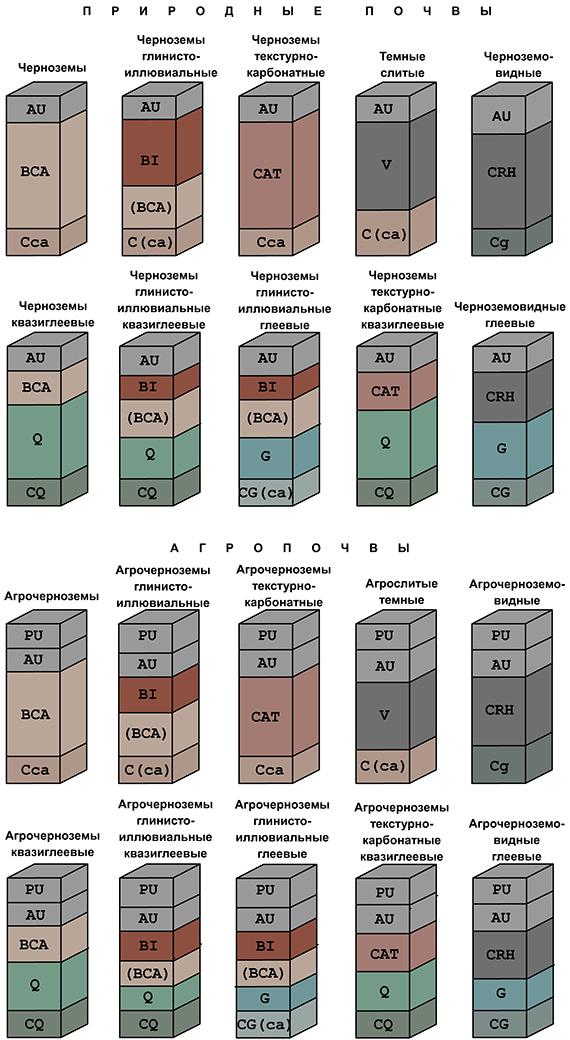 аккумулятивно-гумусовые