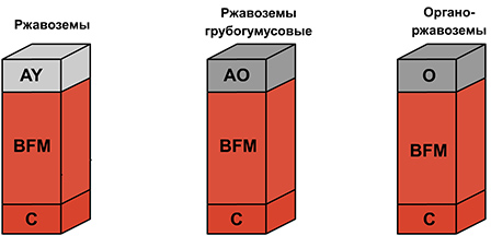 железисто-метаморфические