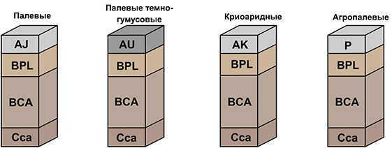 палево-метаморфические